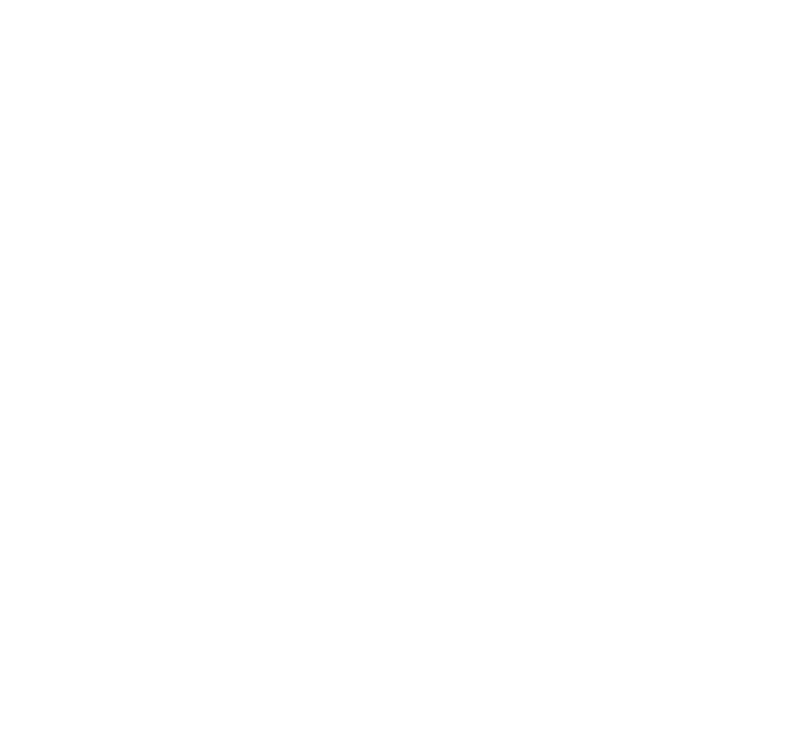 Cassidy Renee Studio logo